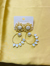Stone earrings